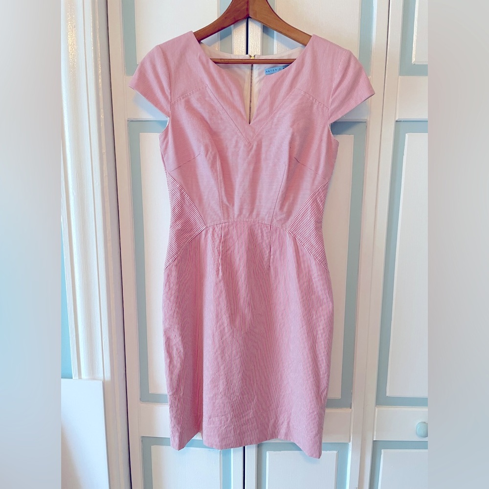 Pink pinstripe business sheath dress